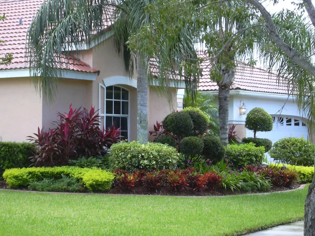 A New Leaf Ventures front-yard landscape design with crotons, palms, and trimmed shrubs in South Florida